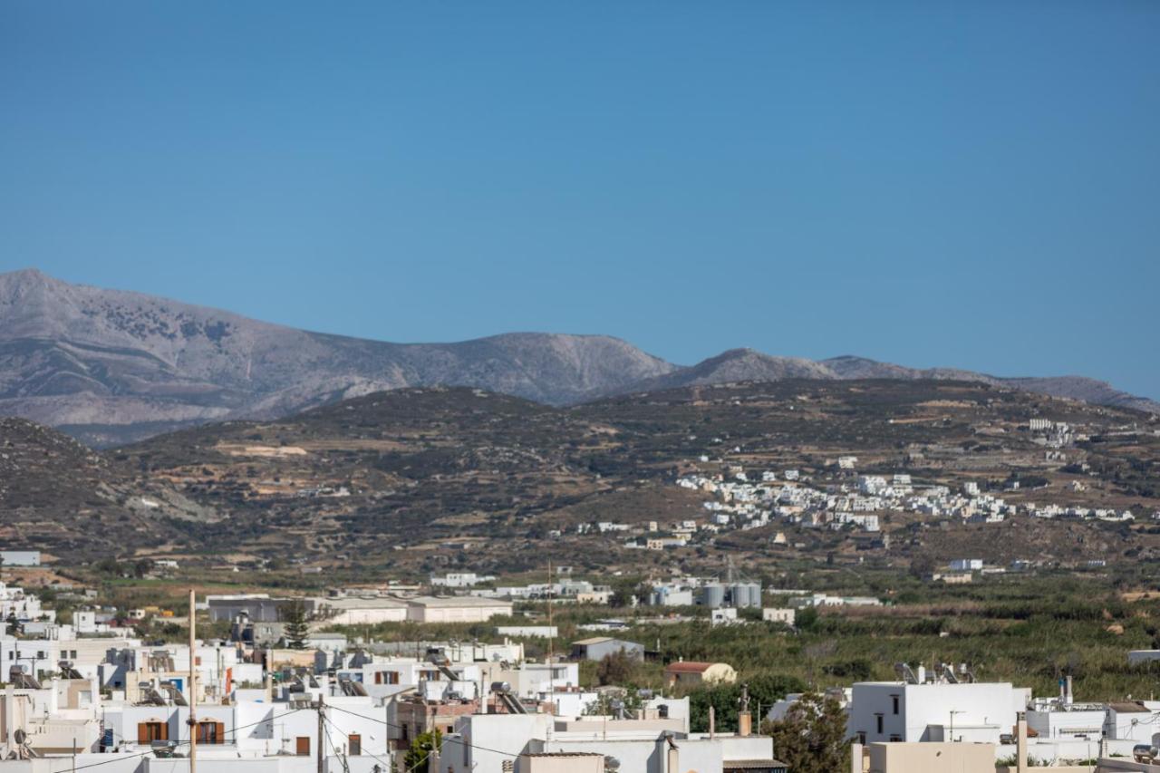 Naxian Icon Luxury Residence Naxos City Extérieur photo